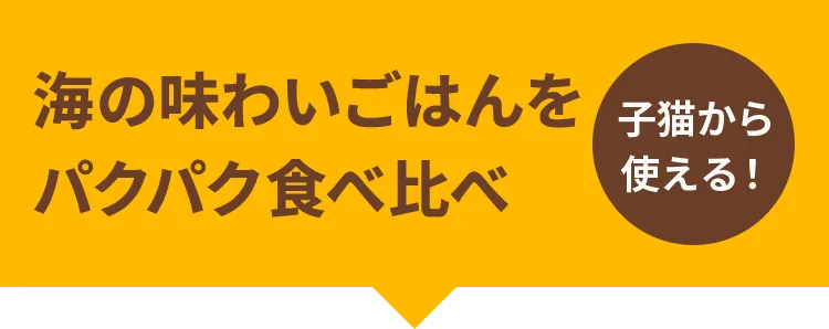 海の味わいごはんをパクパク食べ比べ【子猫から使える！】