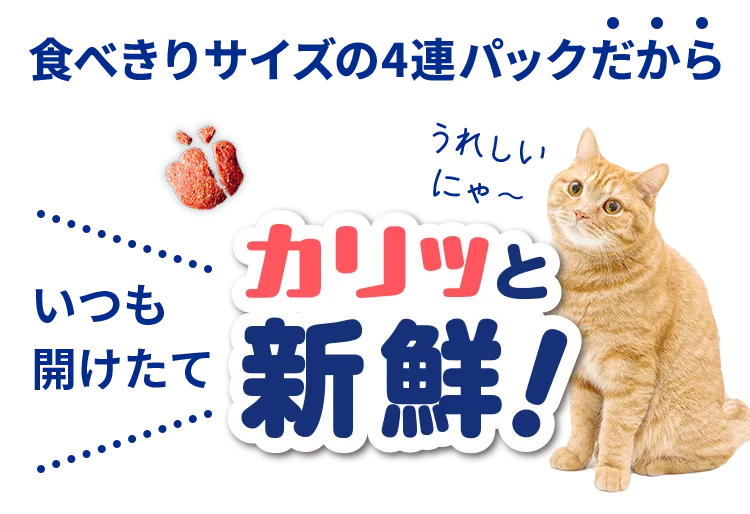 食べきりサイズの4連パックだから いつも開けたてカリッと新鮮!